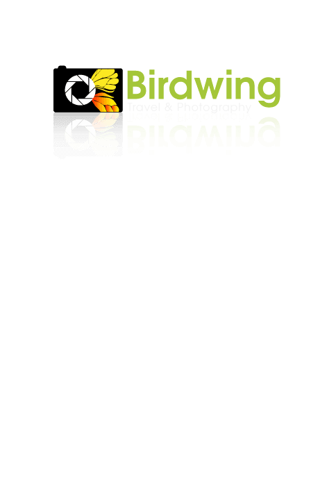 Coimbatore Design Service