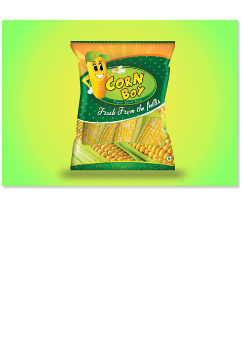 Coimbatore Design Service