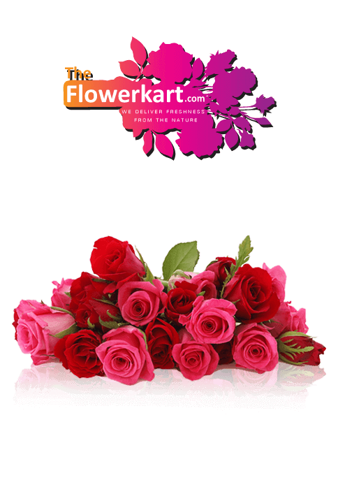 Coimbatore Design Service